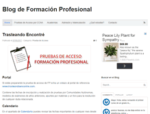 Tablet Screenshot of blog.fp-informatica.es